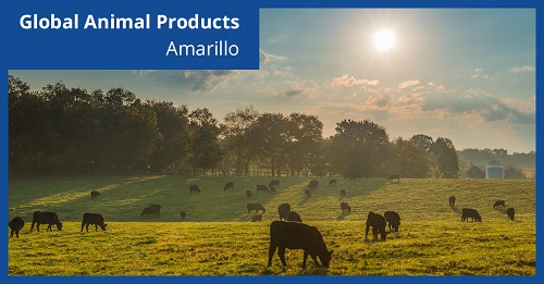 Lone Star Safety Award winner Global Animal Products
