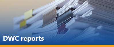 DWC Reports