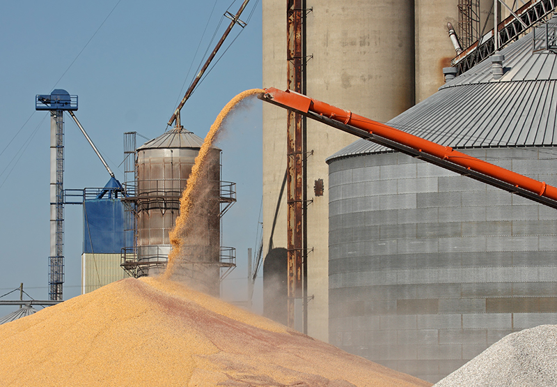 Grain handling safety