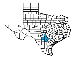 The Lone Star Network's Texas Counties
