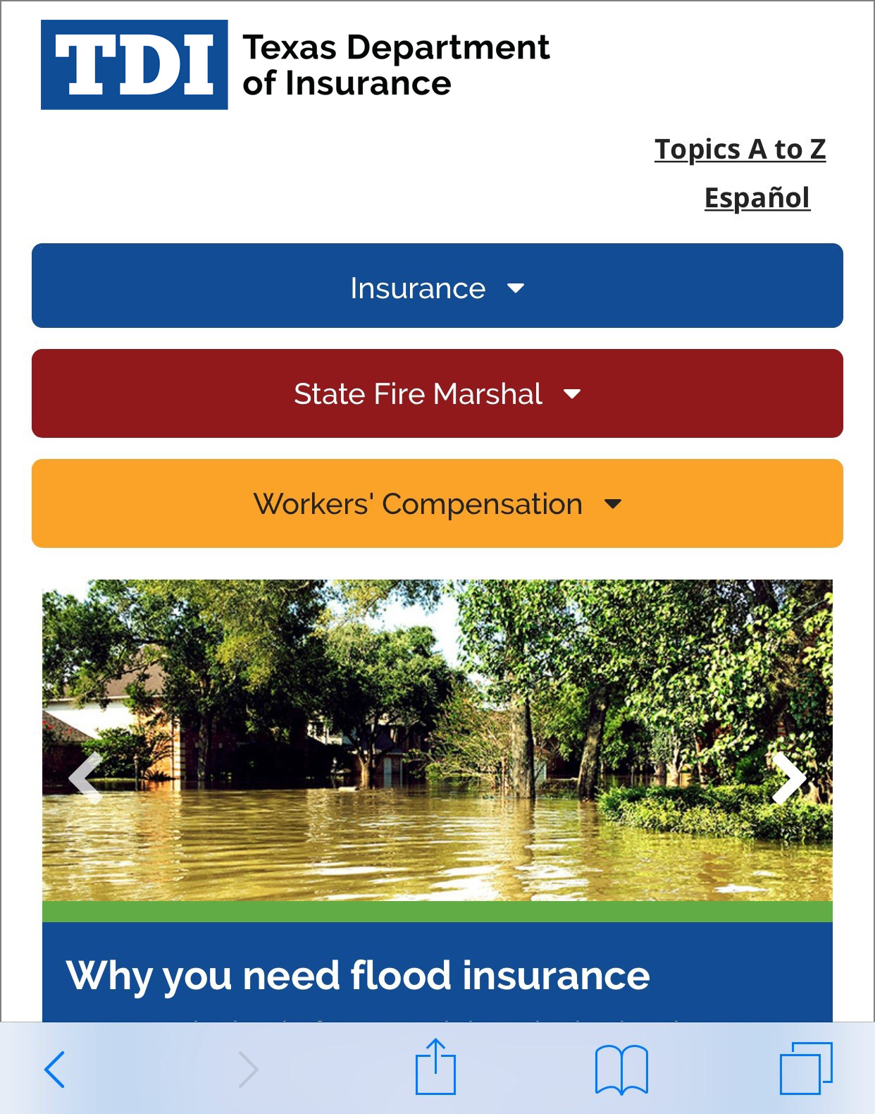 TDI website – after