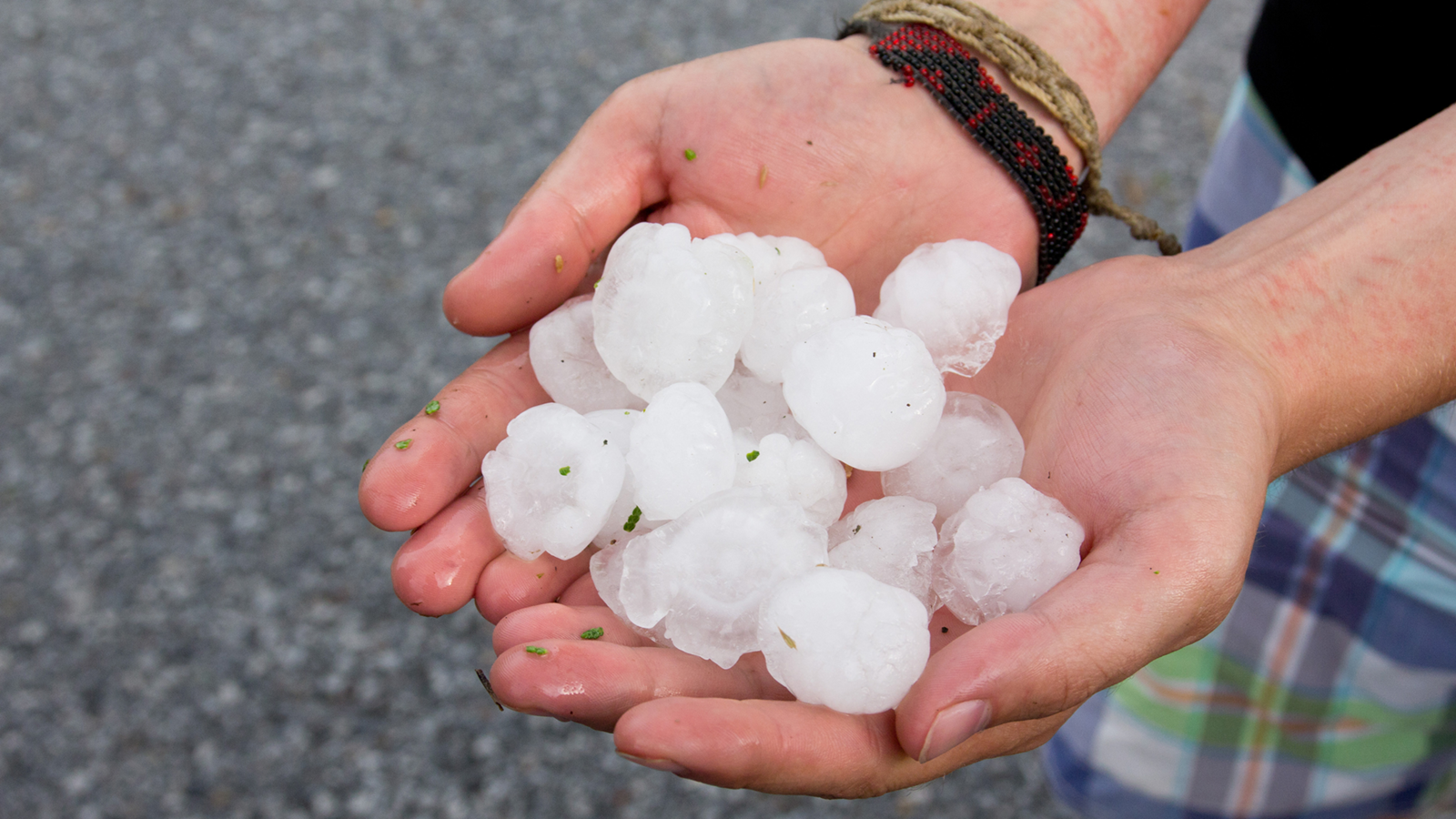 Photo of a persons hands holding hail stones.