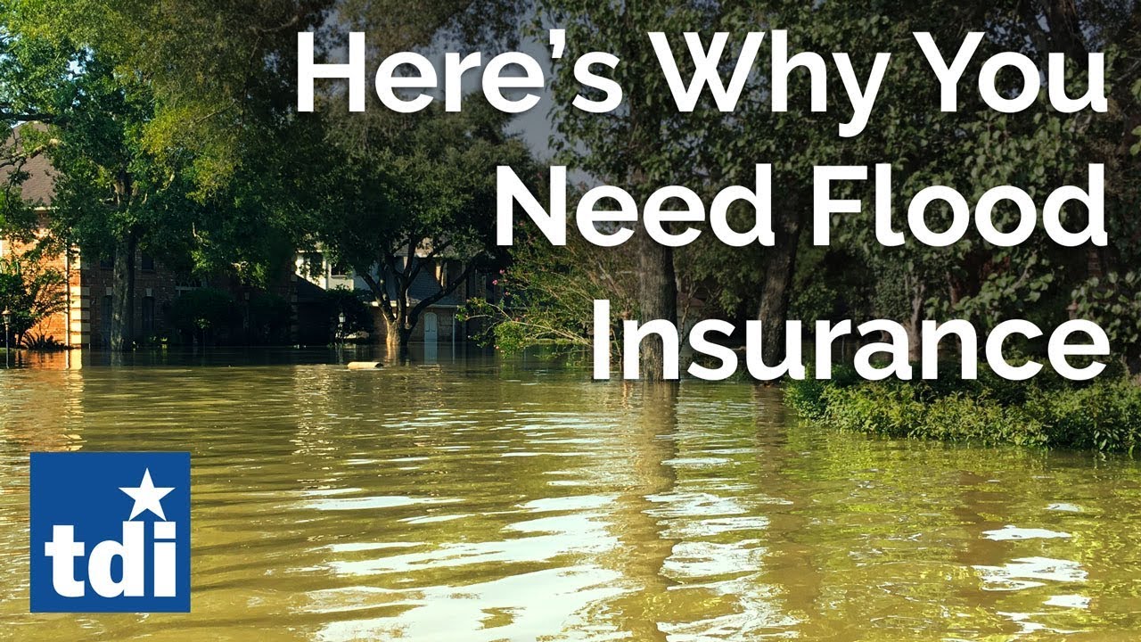 Video: Why you need flood insurance