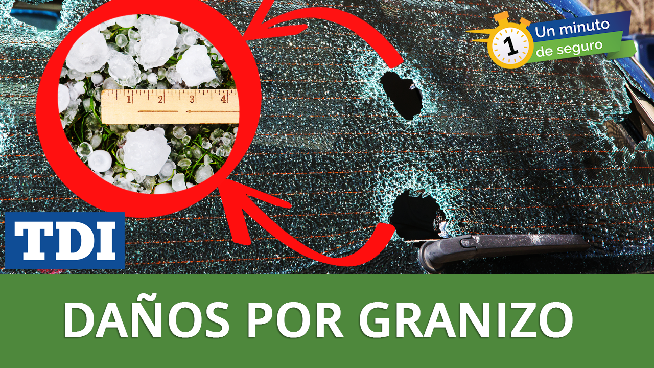 Un minuto de seguro: Daños por granizo